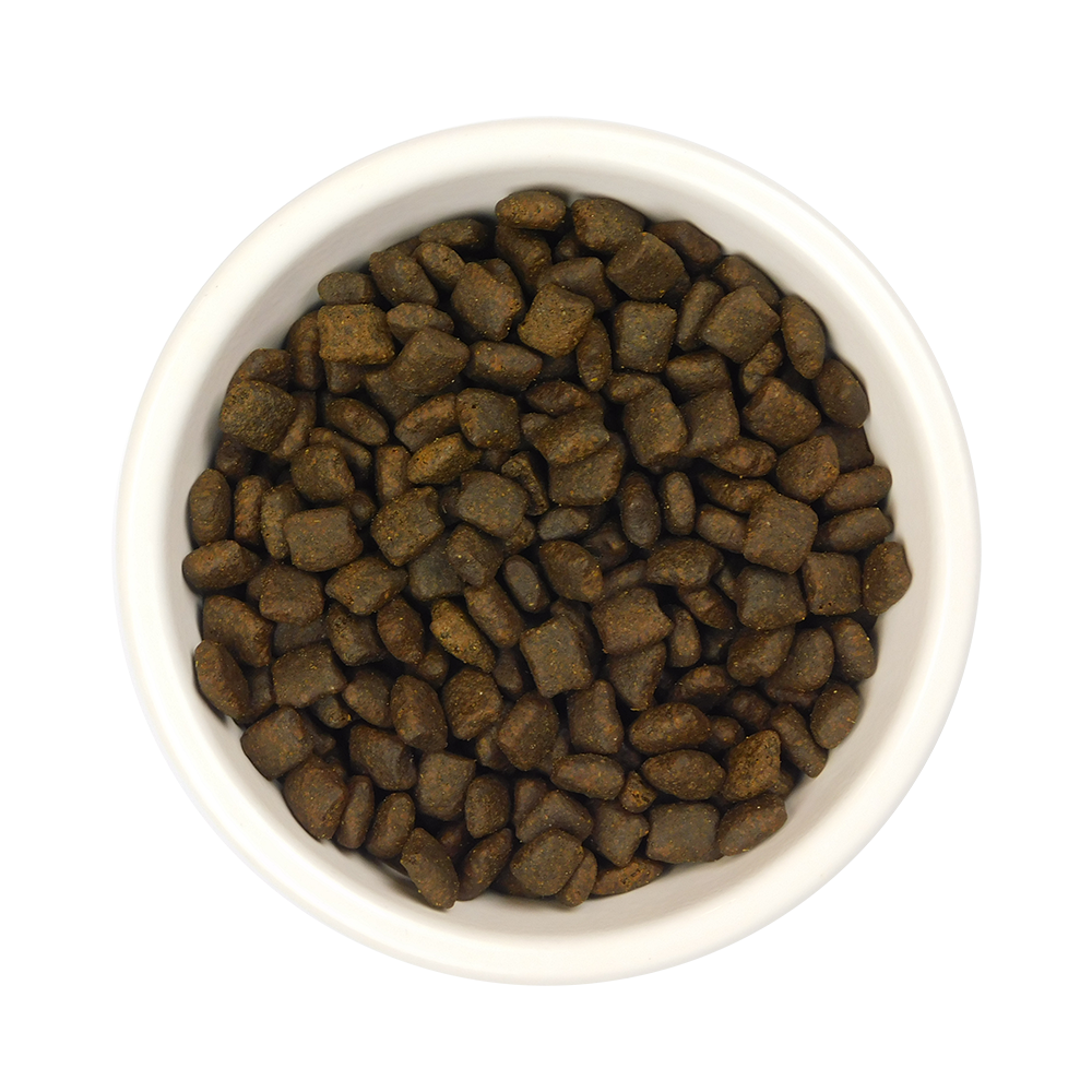 Salmon Dry Food for Puppies