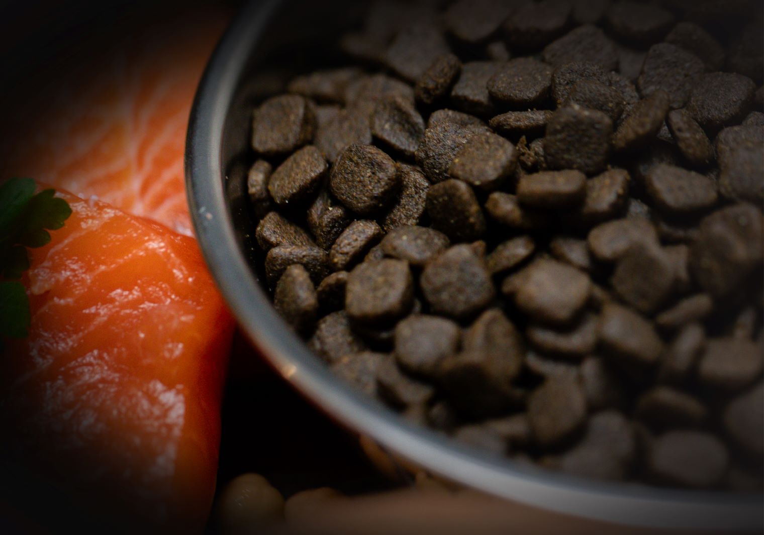 What is 80/20 Dog Food, and Why Does It Matter for Your Pet?