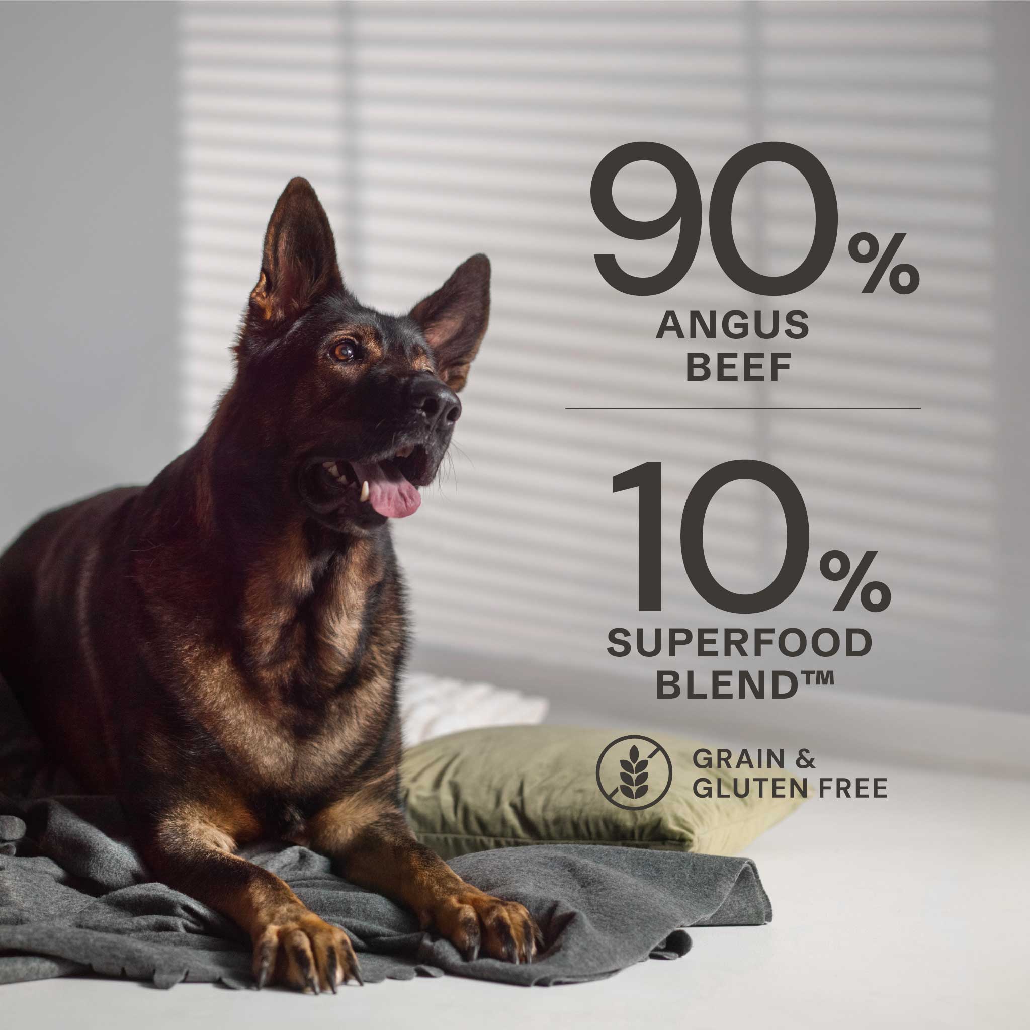 Angus Beef Wet Dog Food - Angus Beef Wet Dog Food