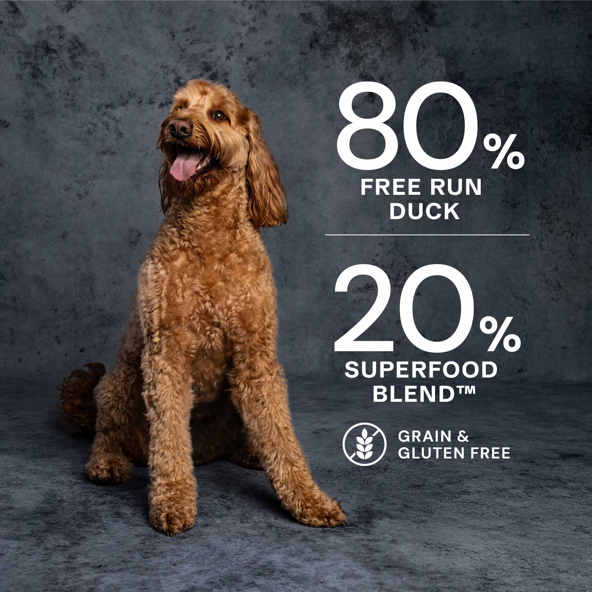 Free Run Duck Dry Dog Food - Free Run Duck Dry Dog Food