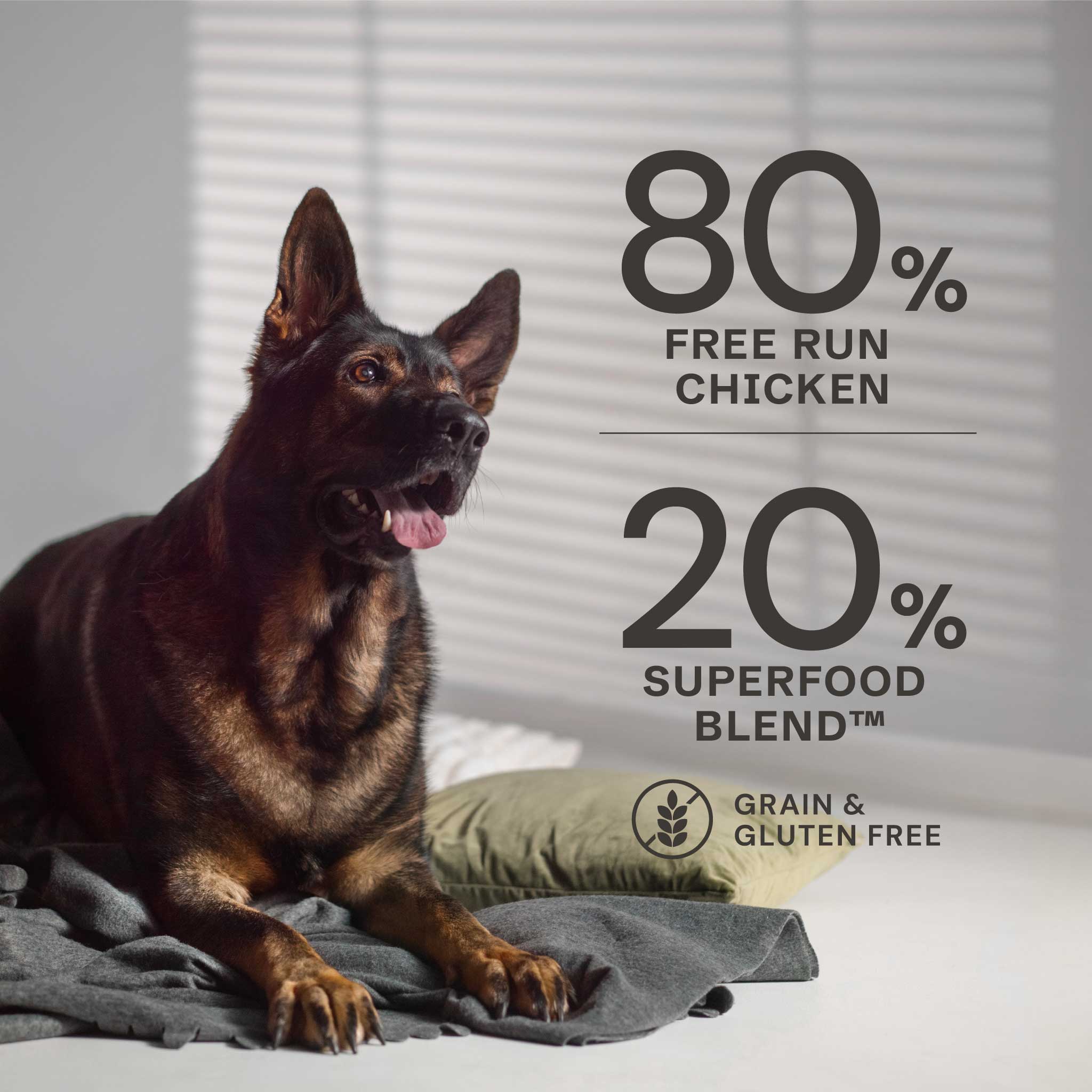 Free Run Chicken Dry Dog Food - Free Run Chicken Dry Dog Food