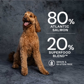 Salmon Dry Dog Food