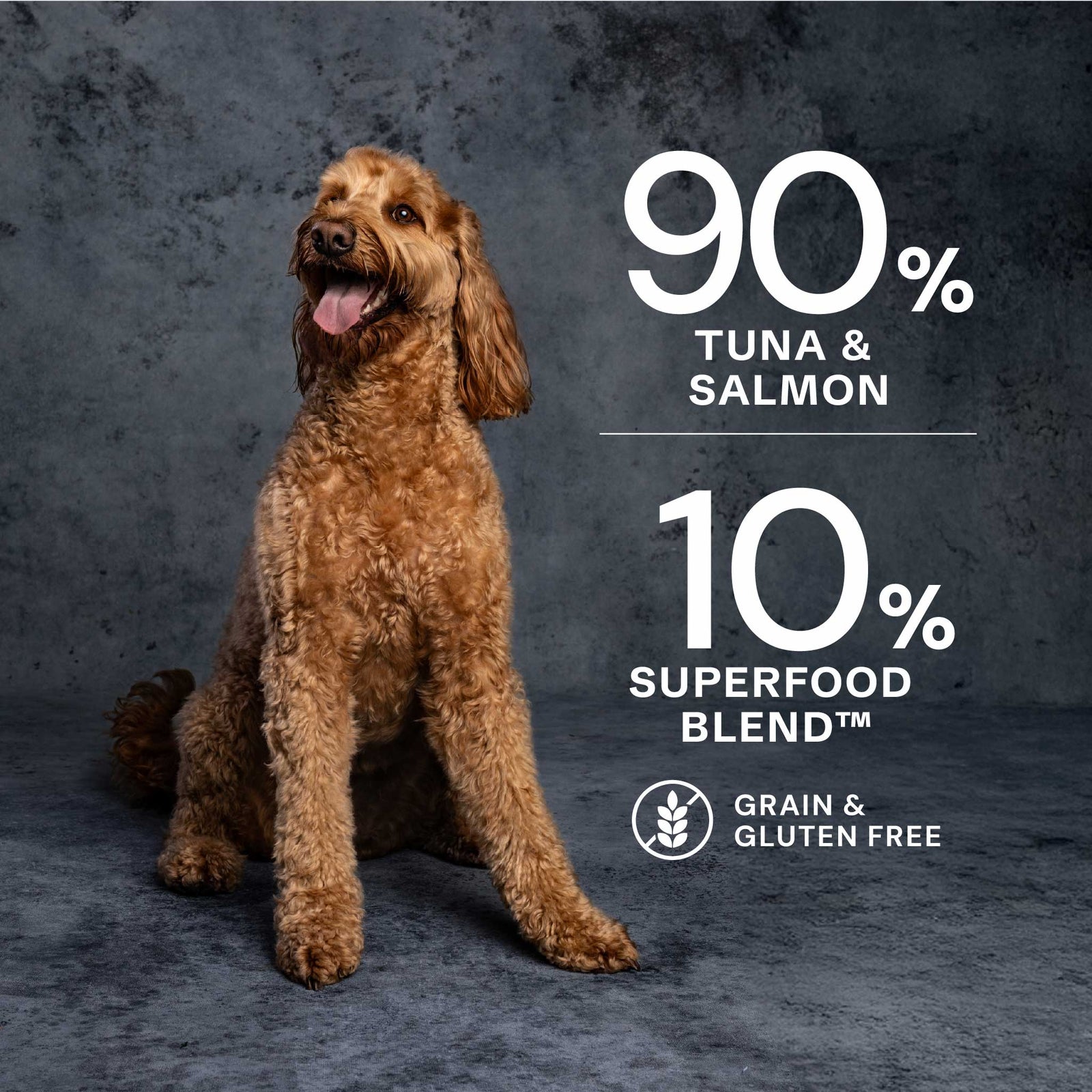 Tuna & Salmon Wet Dog Food
