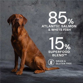 AATU Puppy Trial: Salmon Dry Food for Puppies