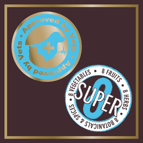 Salmon Dry Dog Food - short-dated stock