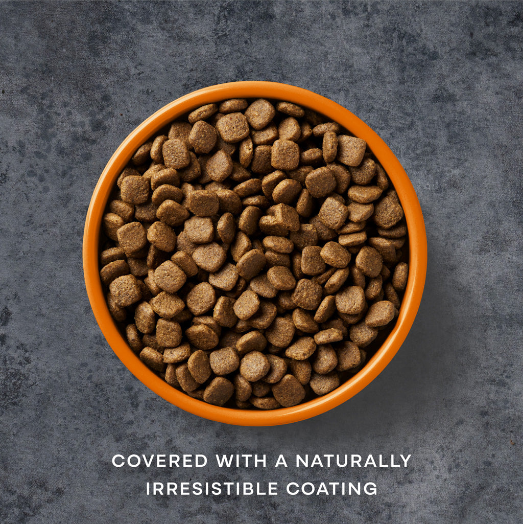 Free Run Chicken Dry Dog Food - Free Run Chicken Dry Dog Food