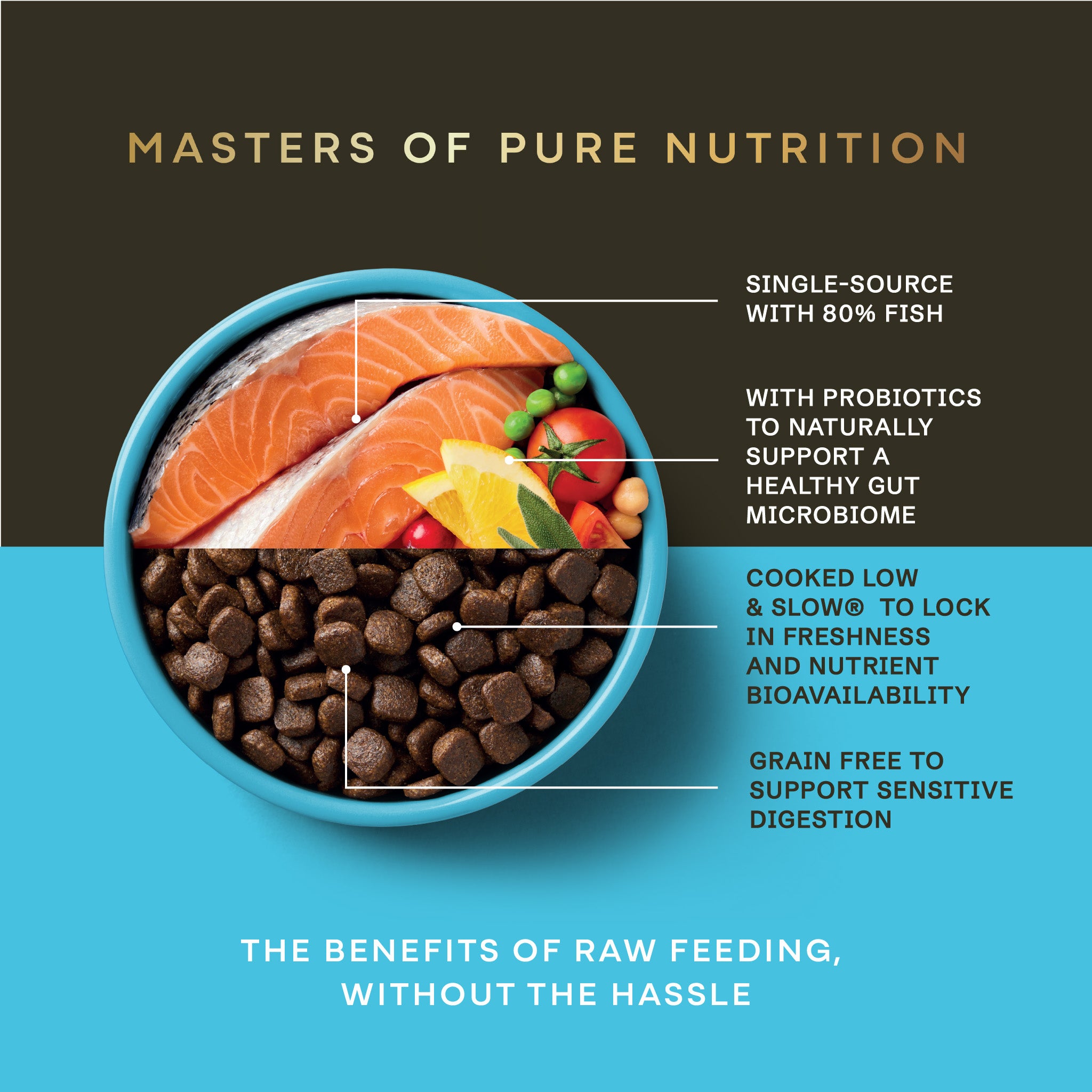 Salmon Dry Dog Food - Salmon Dry Dog Food