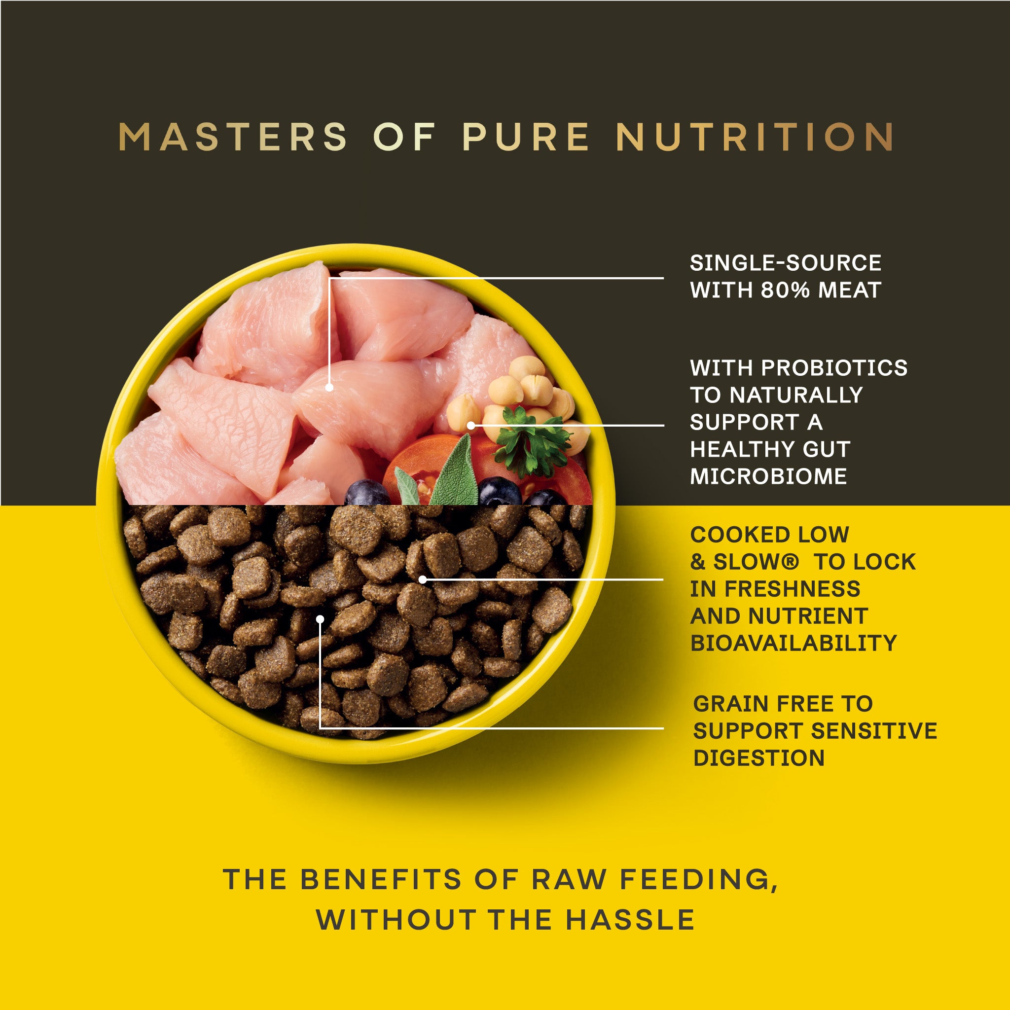 Free Run Turkey Dry Dog Food - Free Run Turkey Dry Dog Food