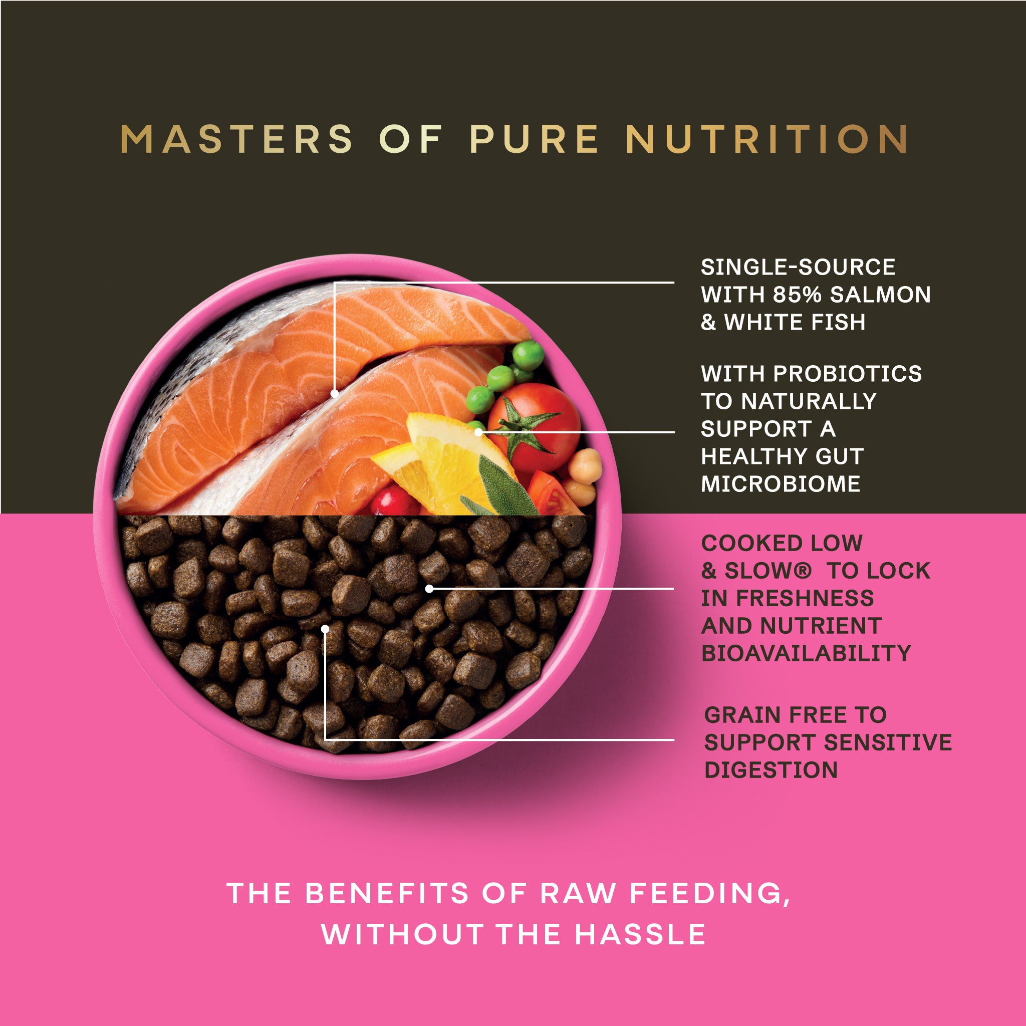 AATU Puppy Trial: Salmon Dry Food for Puppies - AATU Puppy Trial: Salmon Dry Food for Puppies