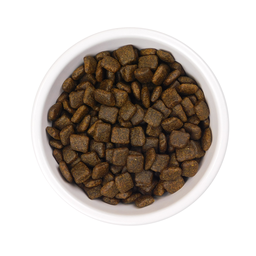 Free Run Chicken Dry Dog Food (short-dated stock) - AATU Dry Chicken Dog Food 