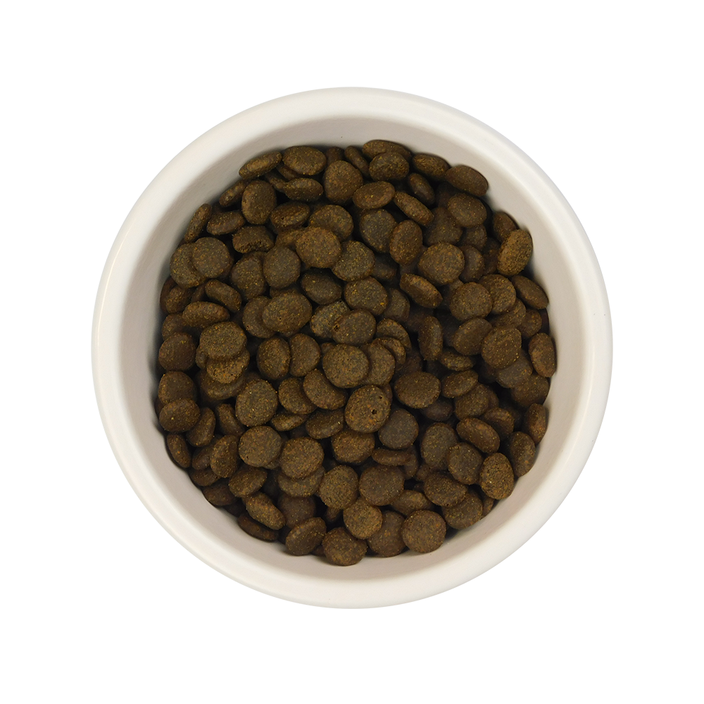 Chicken & Salmon Dry Cat Food Bundle - AATU Cat Salmon Kibble